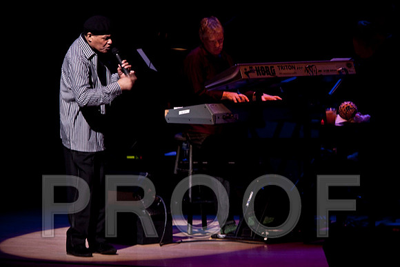 Music Photography
