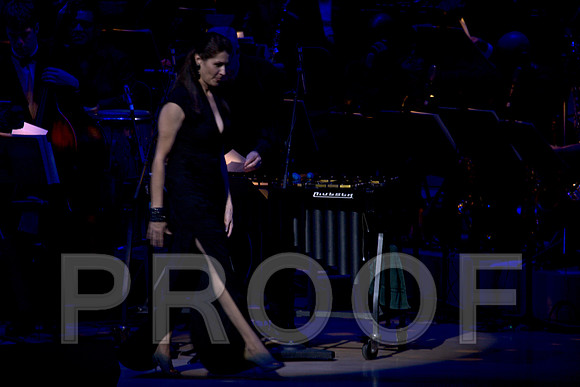 Jazz_Roots_Dave_Grusin_Adrienne_Arsht_Center_20091204_Miami_FL_107