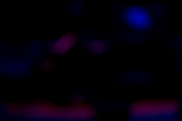 7000_DG_Jazz_Meets_Gerswin_Miami_FL_AL1B5822