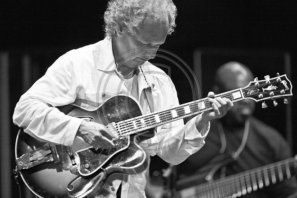 5021_DG_JAZZ_ROOTS_GUITAR VIRUOSOS_Concert_Adrienne_Arsh_CenterZV4N0053
