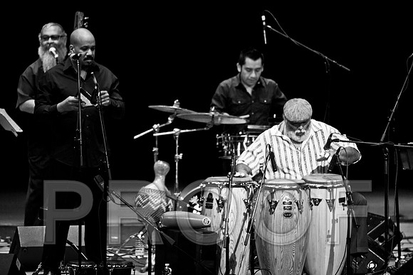 4952_latin_jam_session_IMG_4646