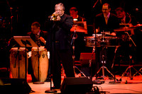 jazz photography
