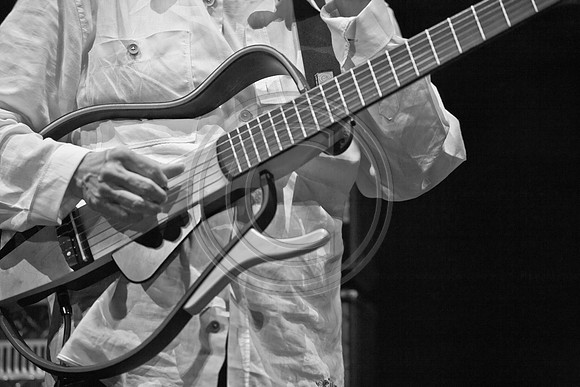 5021_DG_JAZZ_ROOTS_GUITAR VIRUOSOS_Concert_Adrienne_Arsh_Center_ZV4N9711