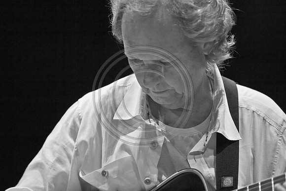 5021_DG_JAZZ_ROOTS_GUITAR VIRUOSOS_Concert_Adrienne_Arsh_Center_ZV4N9832