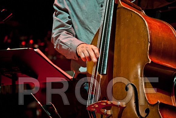 4958_American_Songbook_VA0M7218