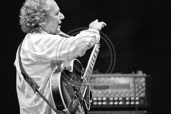 5021_DG_JAZZ_ROOTS_GUITAR VIRUOSOS_Concert_Adrienne_Arsh_CenterZV4N0029