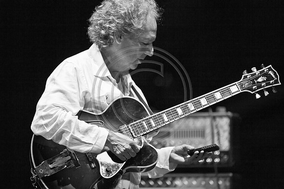 5021_DG_JAZZ_ROOTS_GUITAR VIRUOSOS_Concert_Adrienne_Arsh_CenterZV4N0032
