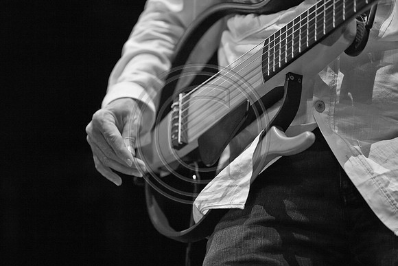 5021_DG_JAZZ_ROOTS_GUITAR VIRUOSOS_Concert_Adrienne_Arsh_Center_ZV4N9827