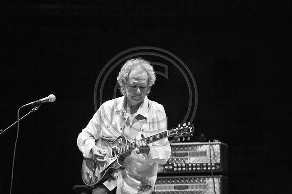 5021_DG_JAZZ_ROOTS_GUITAR VIRUOSOS_Concert_Adrienne_Arsh_Center_ZV4N9949