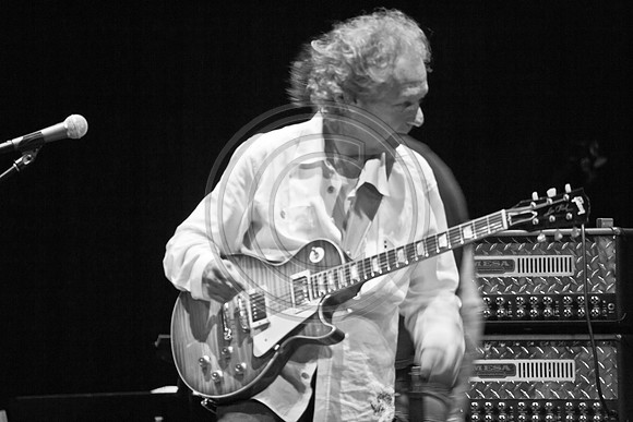 5021_DG_JAZZ_ROOTS_GUITAR VIRUOSOS_Concert_Adrienne_Arsh_CenterVA0M6595