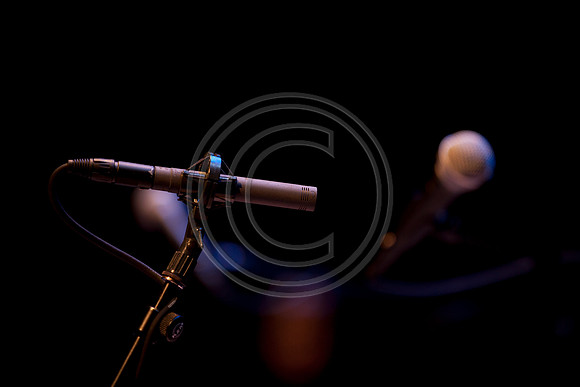5021_DG_JAZZ_ROOTS_GUITAR VIRUOSOS_Concert_Adrienne_Arsh_Center_ZV4N8701