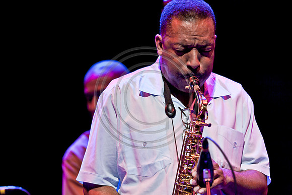 ZV4N6821