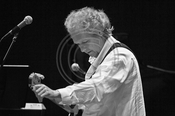 5021_DG_JAZZ_ROOTS_GUITAR VIRUOSOS_Concert_Adrienne_Arsh_Center_VA0M6388