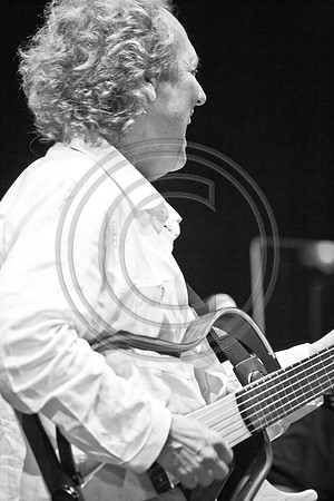 5021_DG_JAZZ_ROOTS_GUITAR VIRUOSOS_Concert_Adrienne_Arsh_Center_VA0M6524