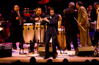 jazz photography