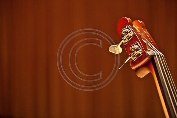 5021_DG_JAZZ_ROOTS_GUITAR VIRUOSOS_Concert_Adrienne_Arsh_Center_MG_7930
