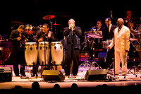 jazz photography